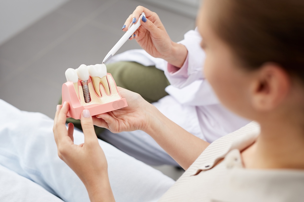 A person holds a dental model showing teeth and a dental implant while another person points at the model with a dental tool, demonstrating dental anatomy or procedures.