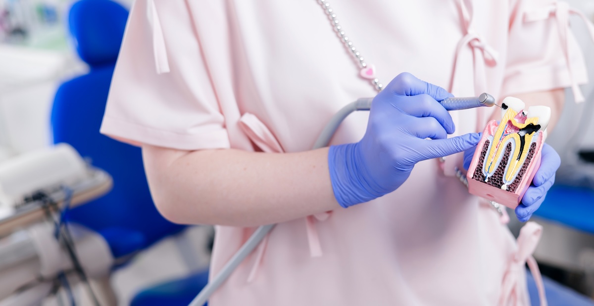 A person wearing blue gloves and a pink top holds a dental tool and points to a model of a tooth